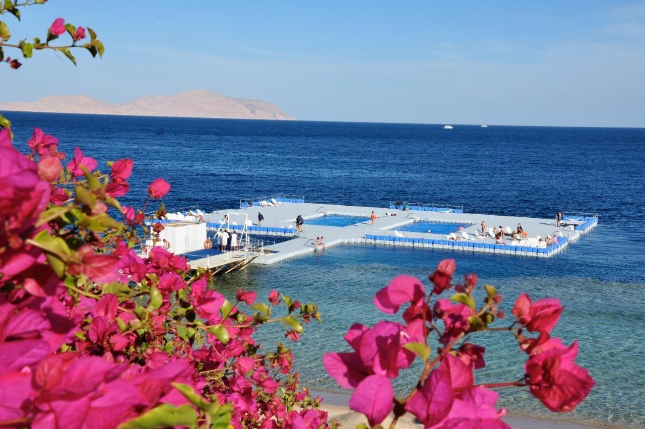 Private One Bedroom Domina Coral Bay Шарм-эль-Шейх Экстерьер фото